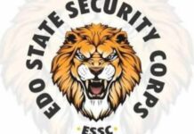 Edo Security Corps Arrest Two Over Illegal Arms, Impersonation