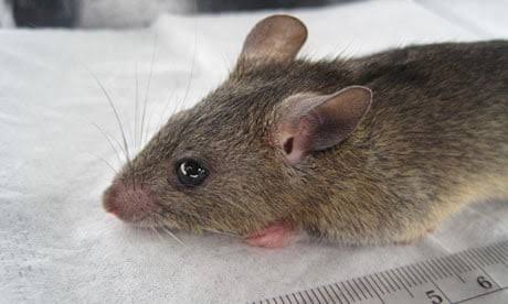 CBC61E07-90AA-44FC-B809-03CE9A89BF23