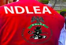 NDLEA, Army Bust Drug Syndicate in Edo, Arrest Five Suspects