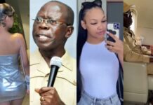 Senator Adams Oshiomhole Faces Public Outrage Over Viral Private Jet Video Amid Claims Food Is “Too Cheap” in Nigeria Senator Oshiomhole and The Hooks