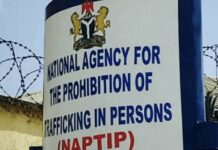 NAPTIP Probes Alleged Abuse of Three-Year-Old in Edo