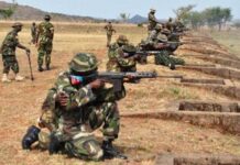Army Operation in Edo Forest Kills Kidnapper, Frees Four Abducted Victims