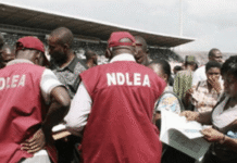 Edo Civil Group Seeks Probe, Removal of NDLEA Commander Over Detainee’s Death