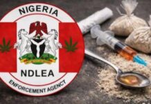 Alleged bribery, rights violations spark controversy in NDLEA Edo Command