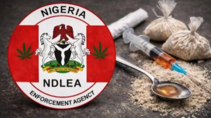 84482F1D-FA31-4A16-BD38-F5481B4ED5C2